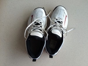web Lai Sports shoes