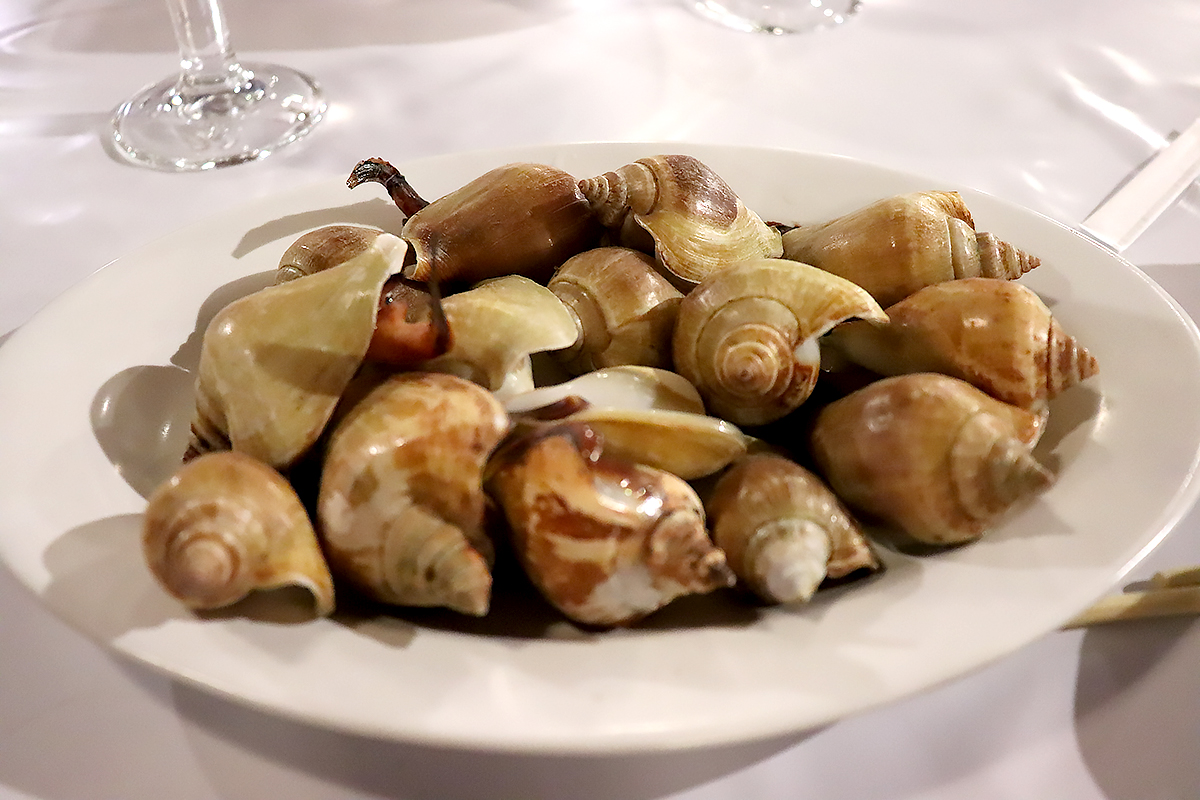 ゴンゴン と お猿はこわい の話 編集部ブログ ゴンゴン と お猿はこわい の話 編集部ブログ