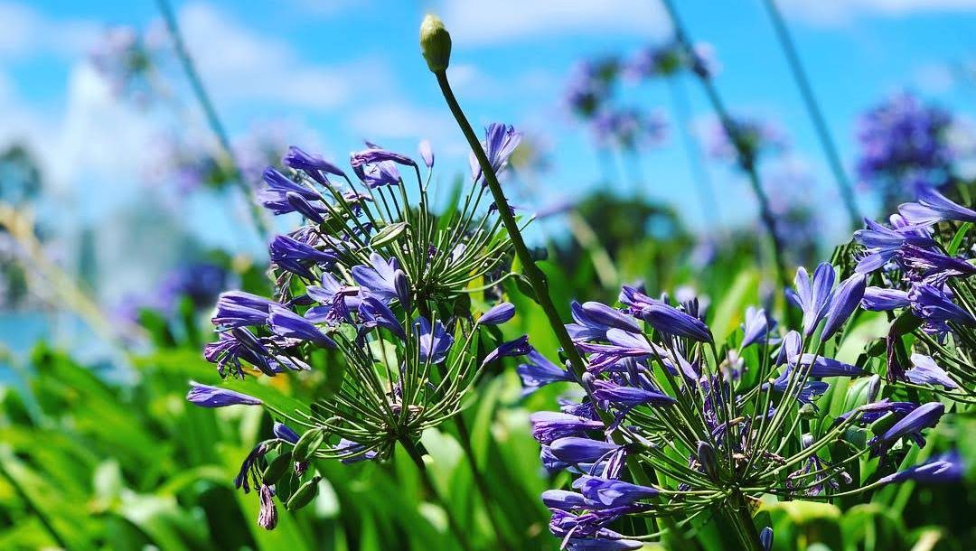 シンガポールから5時間フライト パースに行ってきました 編集部ブログ