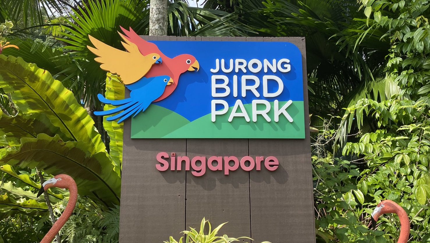 鳥の楽園 ジュロンバードパークでエサやり体験 スタッフブログ 編集部ブログ